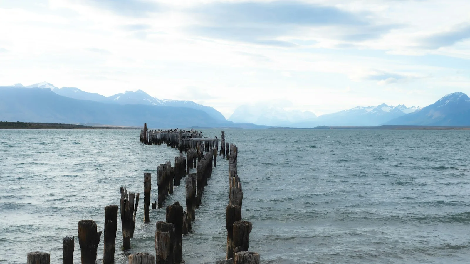 Puerto Natales comme base : la solution sans voiture