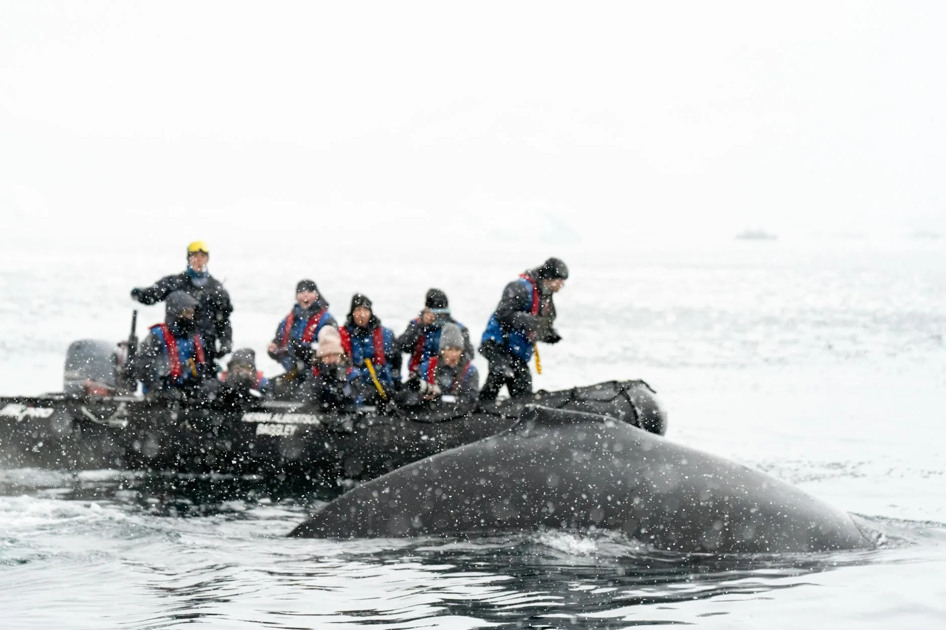 L'excursion bateau : à quoi s'attendre
