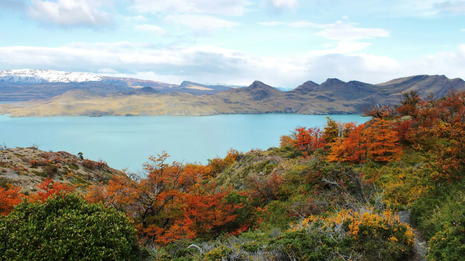 Randonneur consultant son téléphone devant un refuge de Torres del Paine