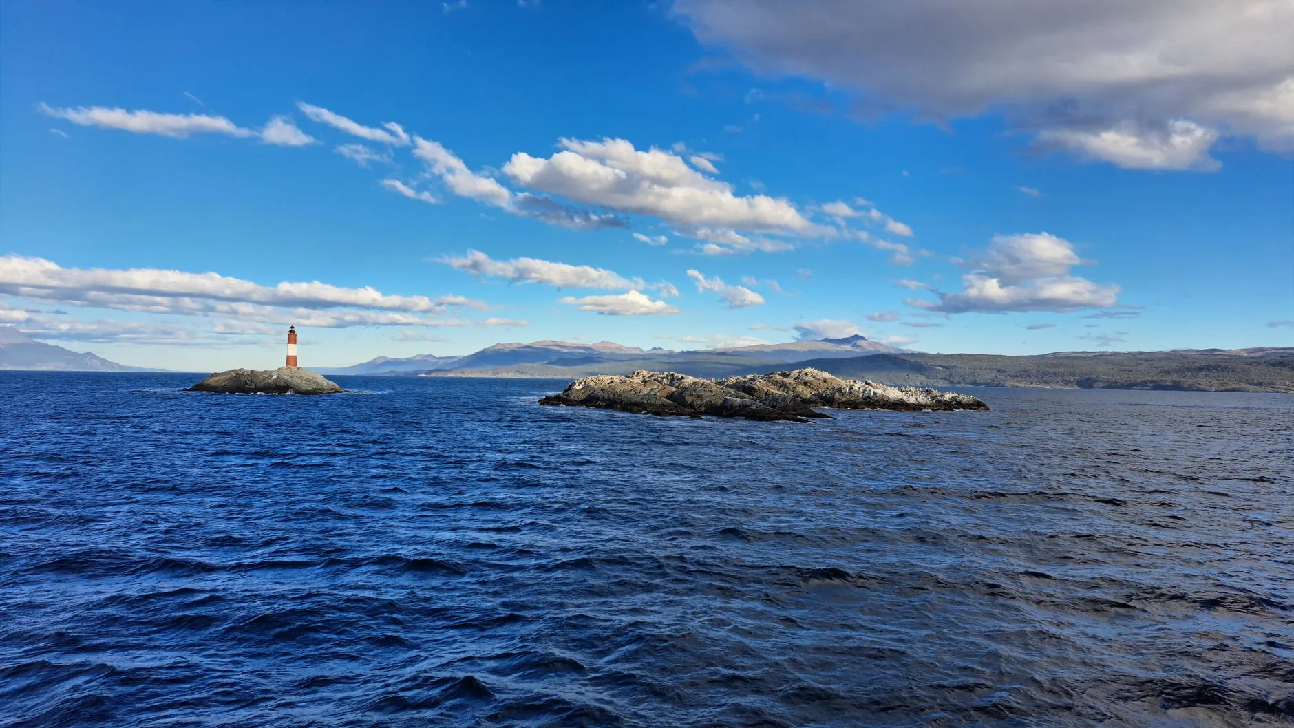 Le canal de Beagle et ses merveilles marines
