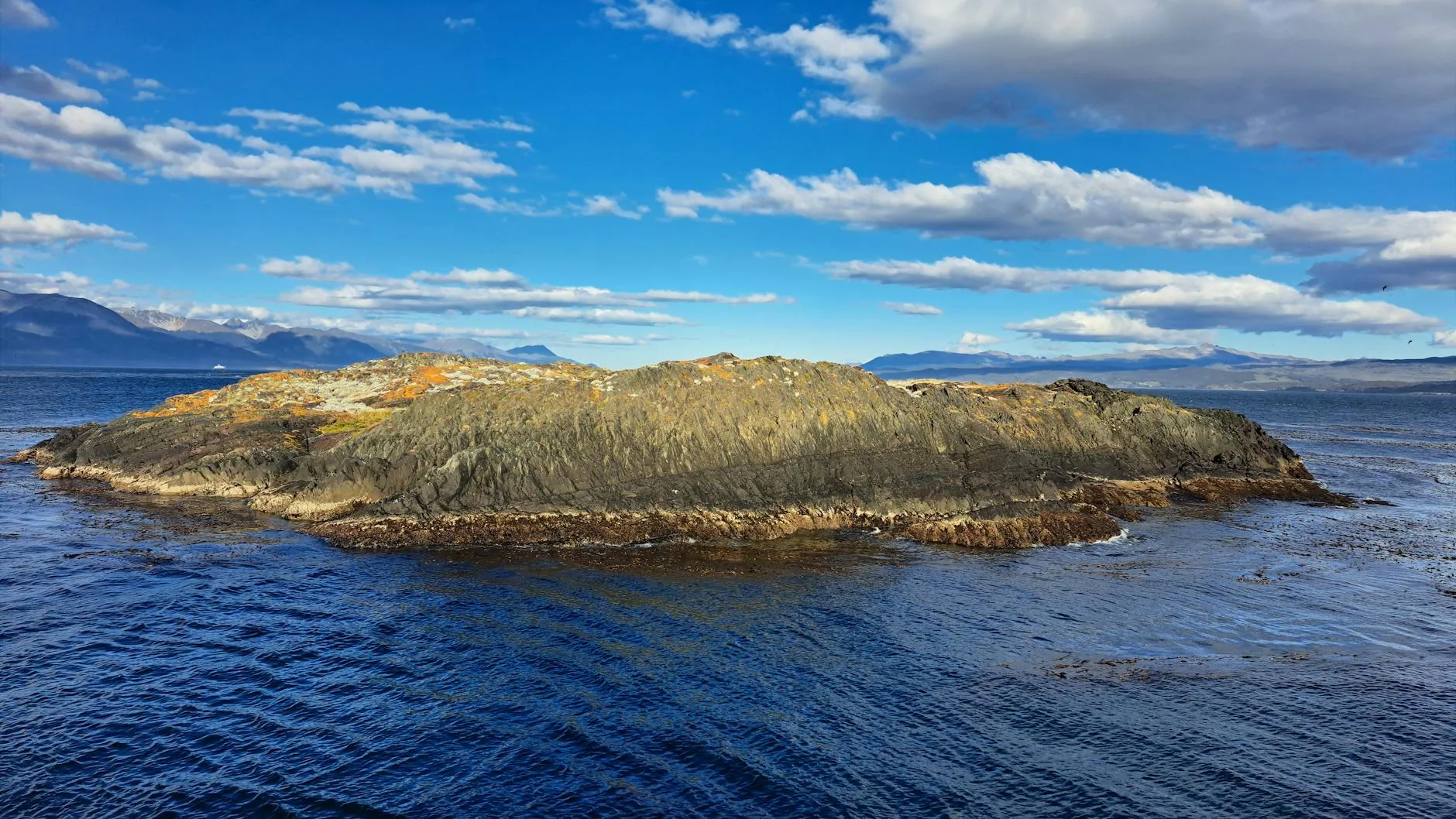2. 🚢 Croisière sur le canal de Beagle