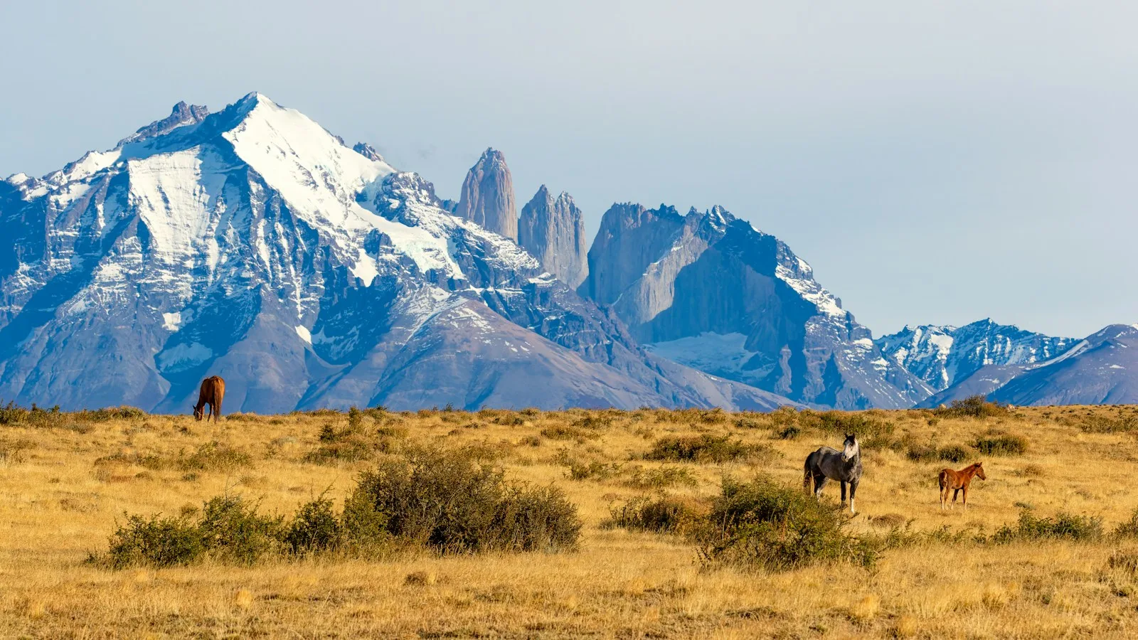 ️ Torres del Paine, l'épicentre du vent en Patagonie